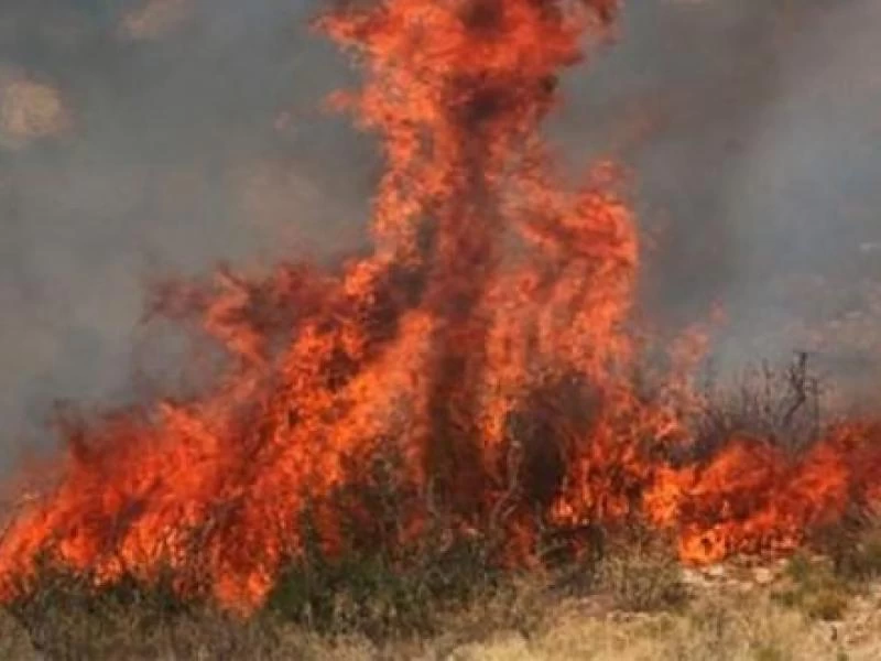 ΕΚΑΚΤΟ: Μεγάλη πυρκαγιά και στην Ευβοία (βίντεο)